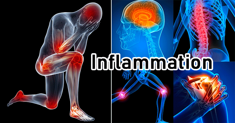 Anti-Inflammatory Diet